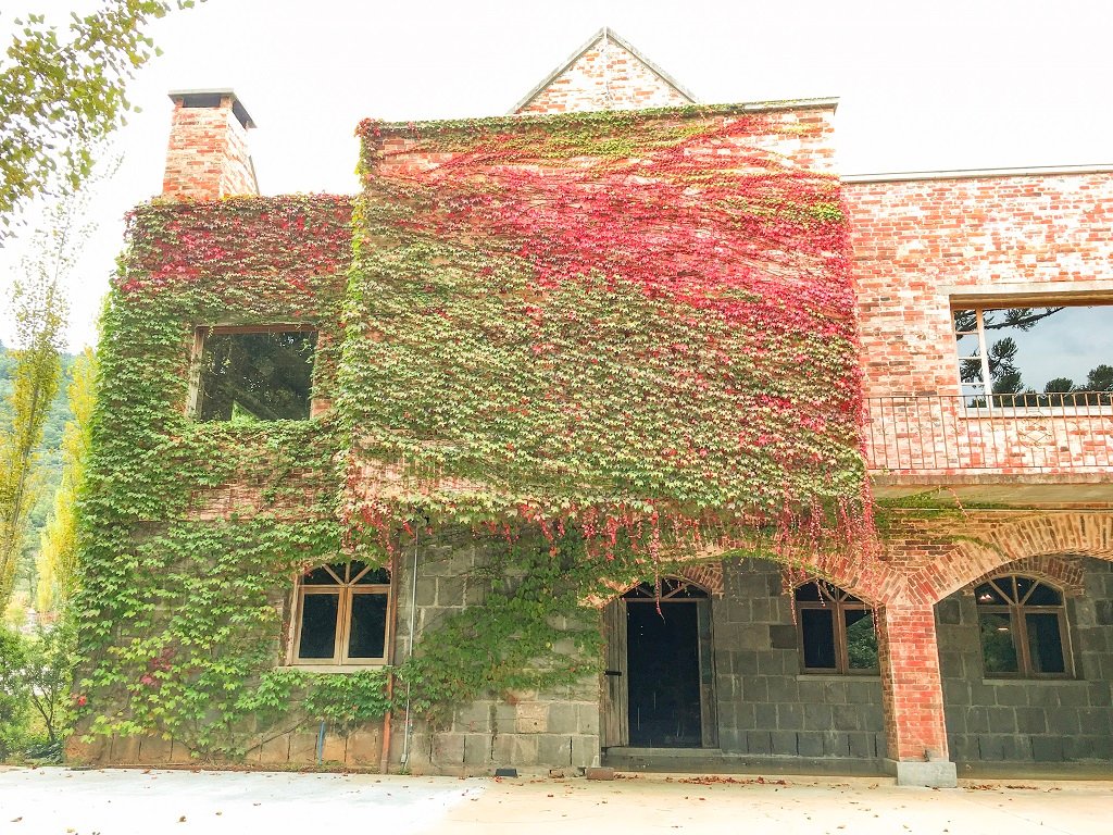 Casa Wilfrido