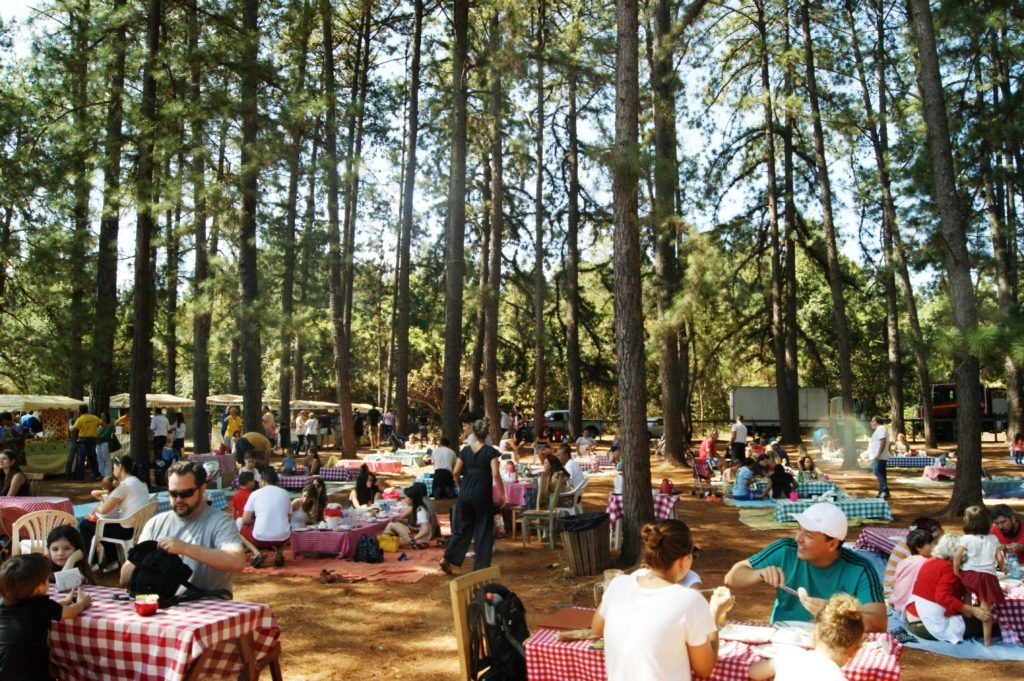 Jardim Botanico - picnic. Crédito de imagem Suriàn Dupont