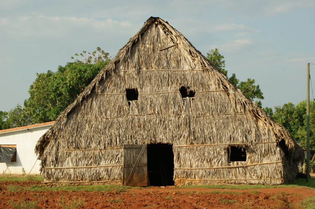 fazenda de tabaco viñales