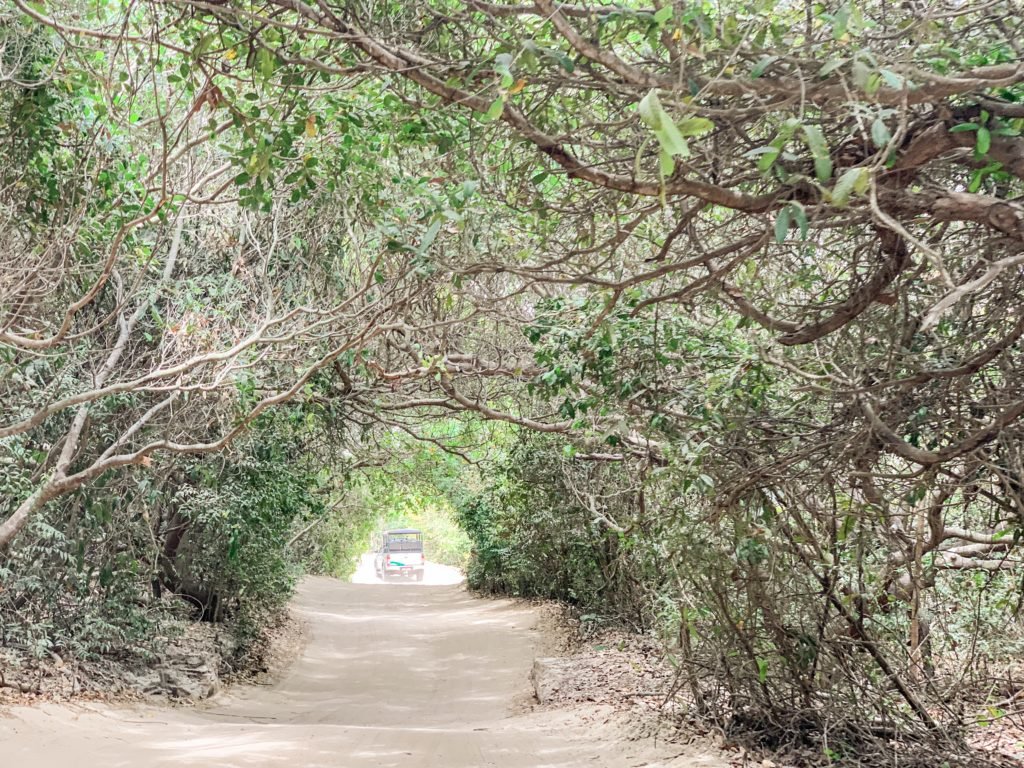 passeio leste jericoacoara túnel verde