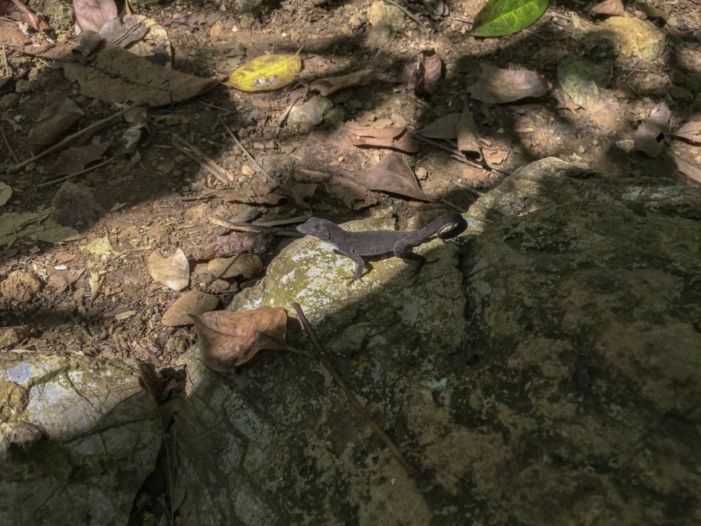 cuba vinales
