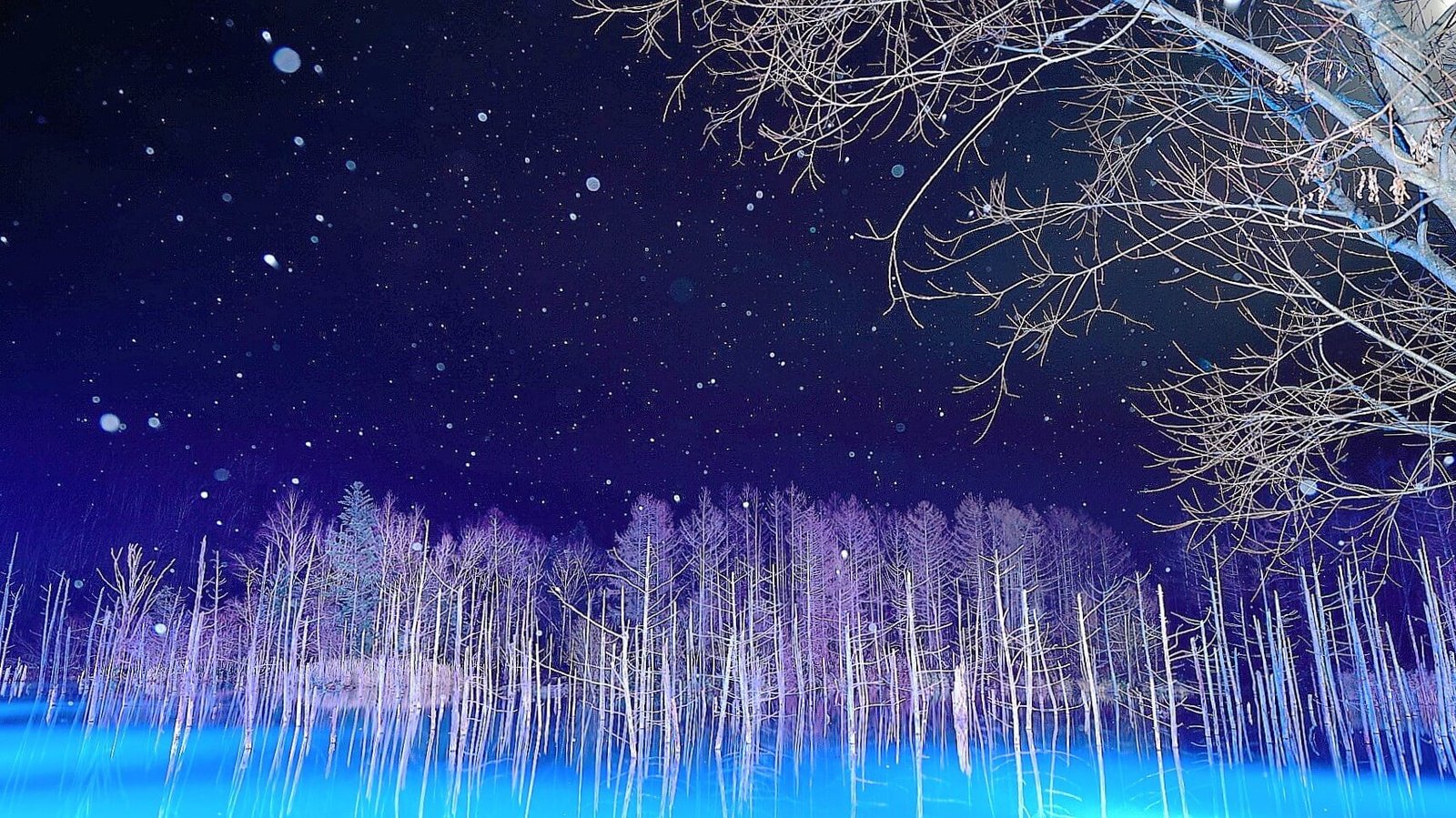 Lagoa Azul Japão a Noite