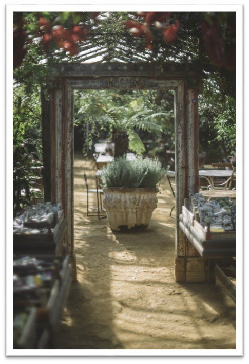 picture-16-petersham-nurseries
