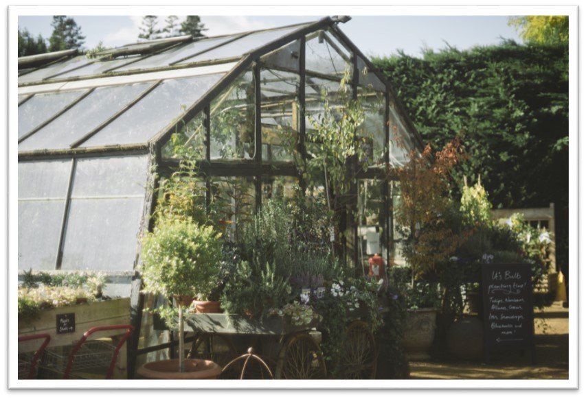 picture-21-petersham-nurseries