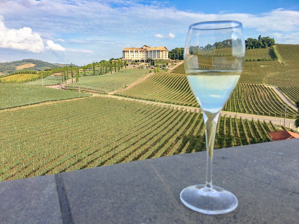 visita vinícola miolo vale dos vinhedos