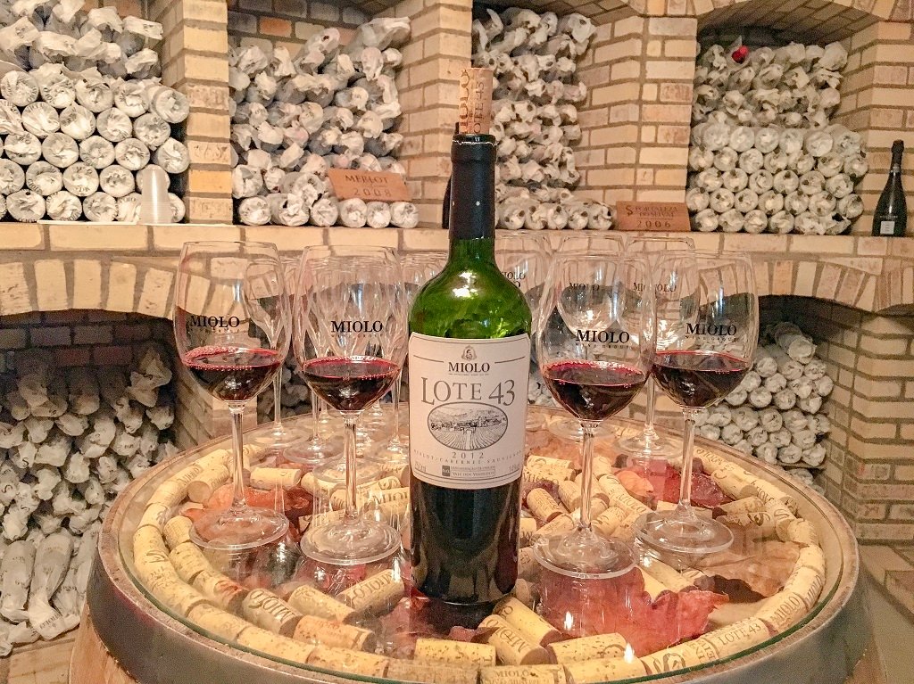 visita vinícola miolo vale dos vinhedos