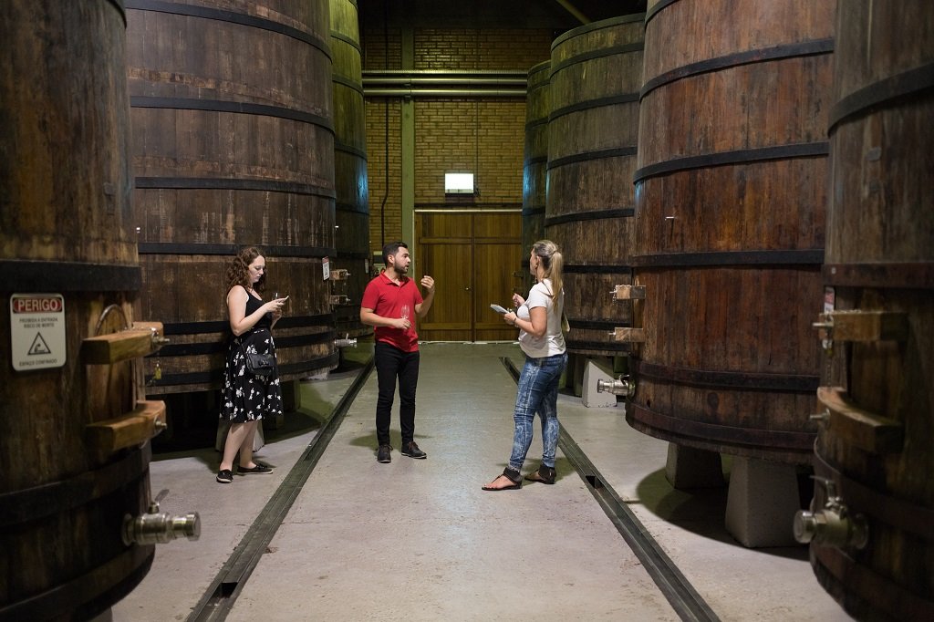 visita vinícola miolo vale dos vinhedos