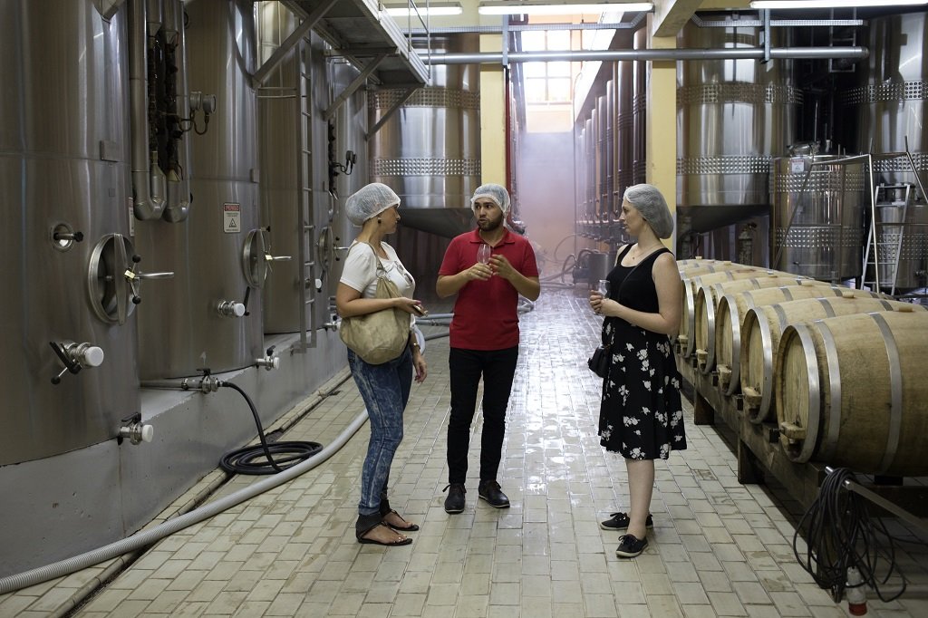 visita vinícola miolo vale dos vinhedos