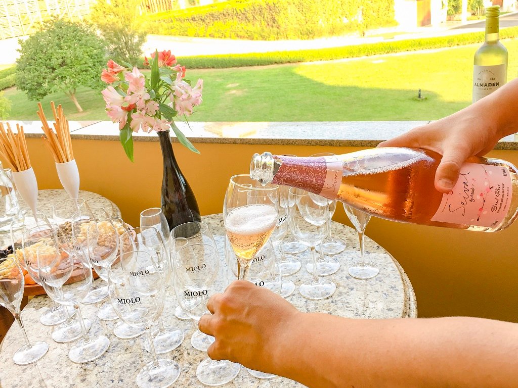 visita vinícola miolo vale dos vinhedos