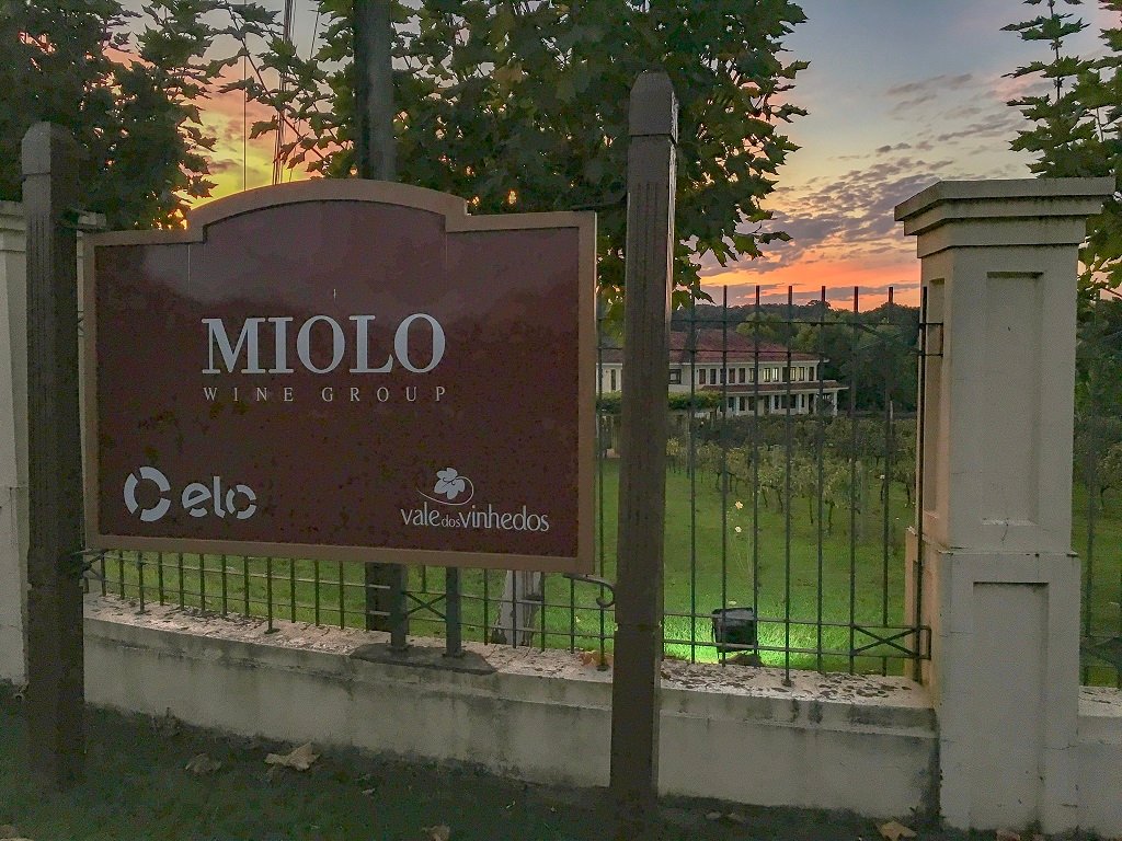 visita vinícola miolo vale dos vinhedos