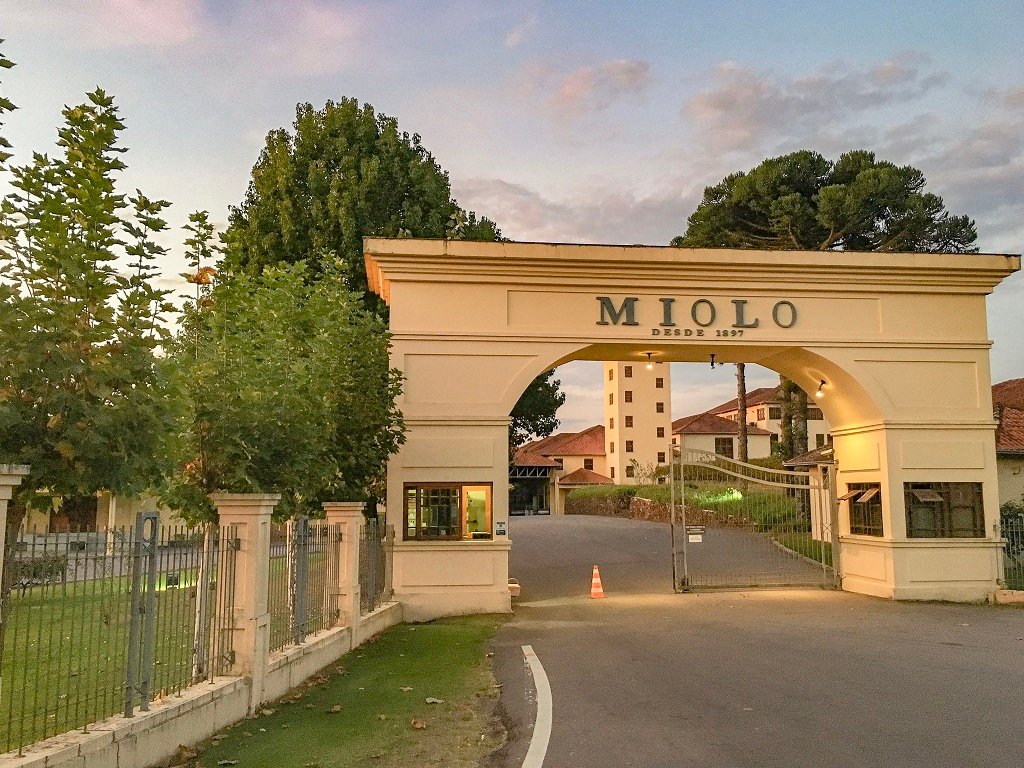 visita vinícola miolo vale dos vinhedos