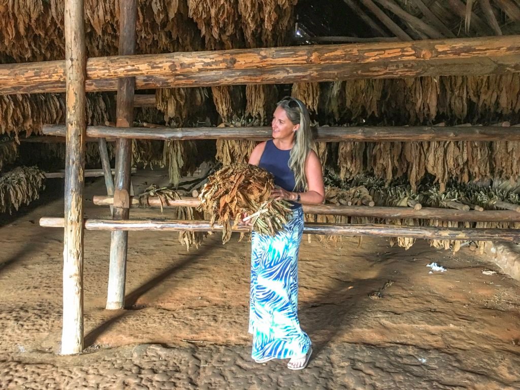 viñales cuba