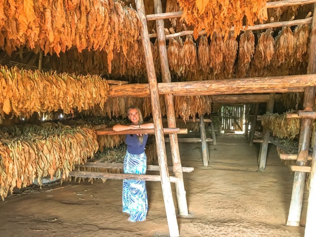 viñales cuba