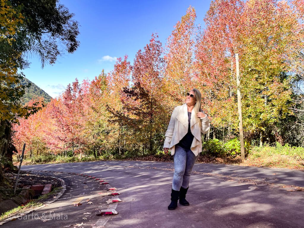 onde comer em Gramado e Canela na Serra Gaúcha