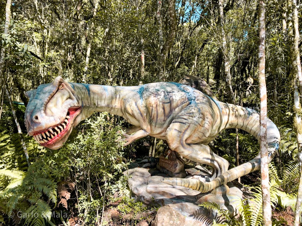 parque florybal canela