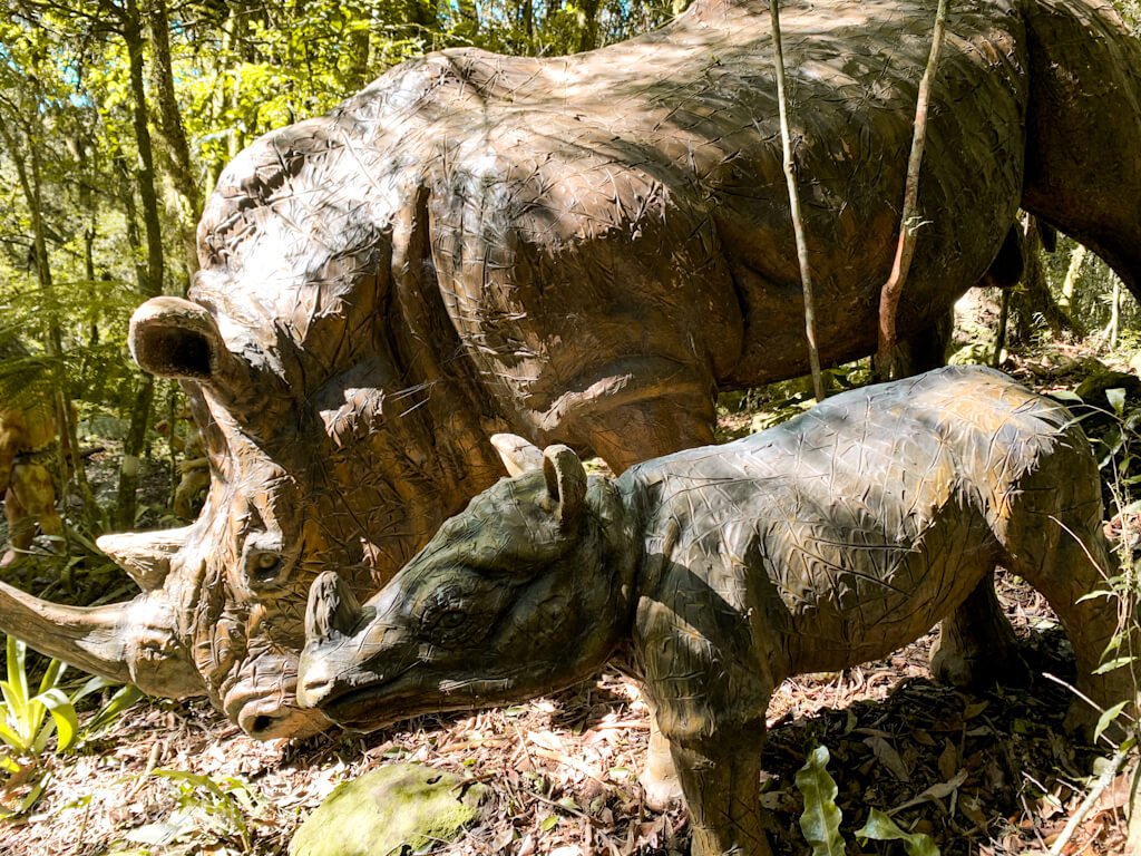 rinoceronte parque florybal