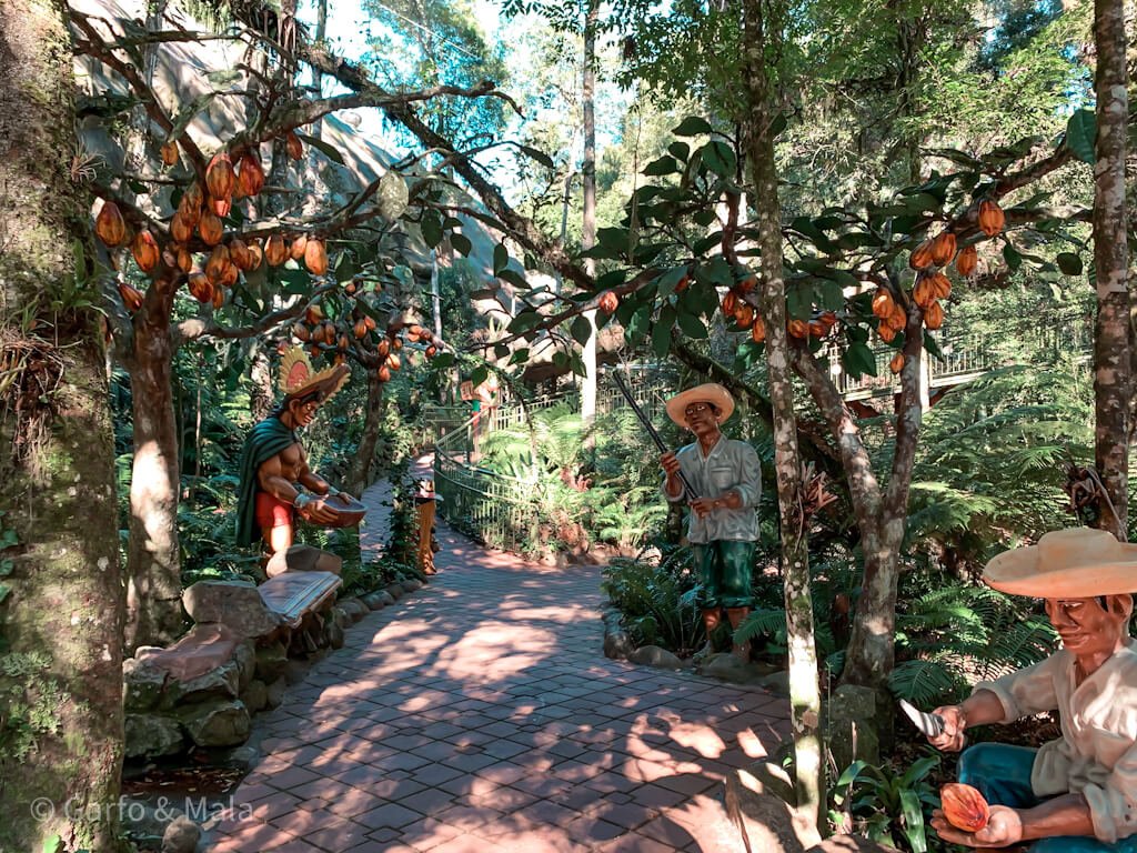 parque terra magica florybal