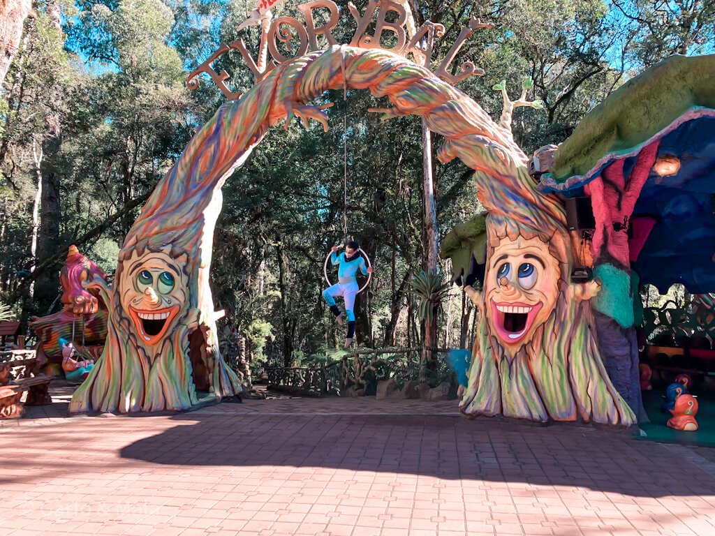 performance parque florybal