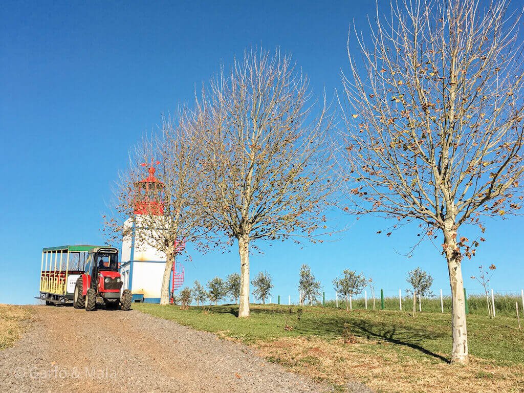 passeio na vinícola lemos de almeida